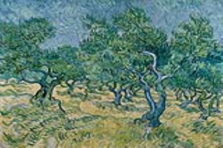 3 dagen Veluwe en Van Gogh